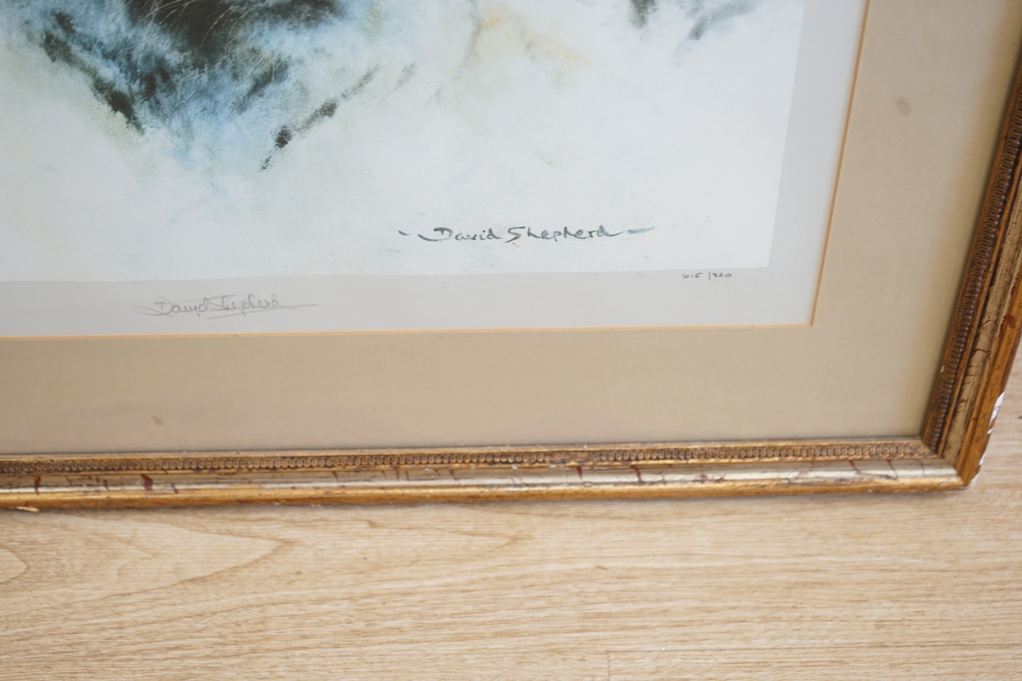 David Shepherd, limited edition print, 'Just Cats', signed in pencil, 615/850, overall visible sheet 53 x 89cm. Condition - fair
